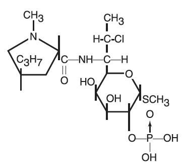 CLINDAMYCIN PHOSPHATE